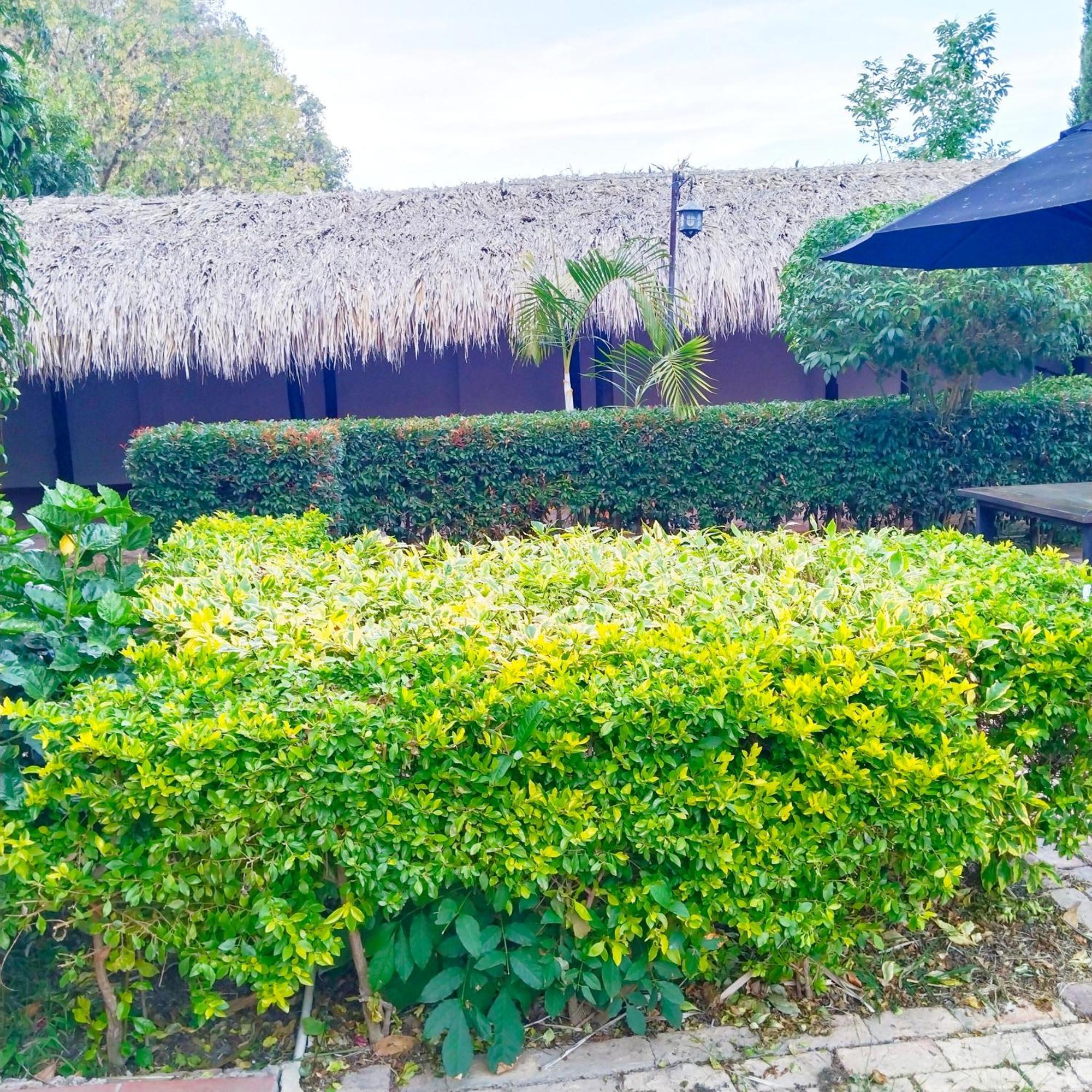 Hostal Balcon De Anita Rancho Tranquera บียาเดเลย์บา ภายนอก รูปภาพ